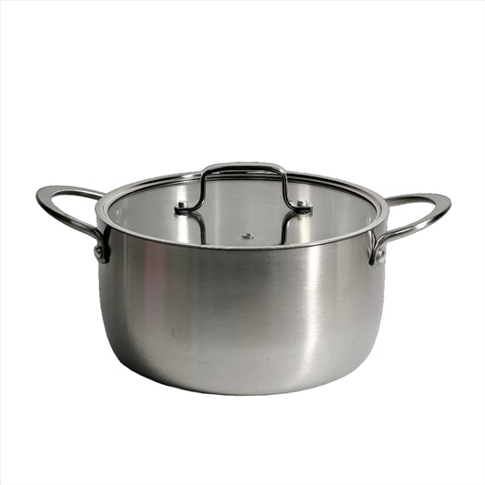 Stainless Soup Pot w/ Glass Lid